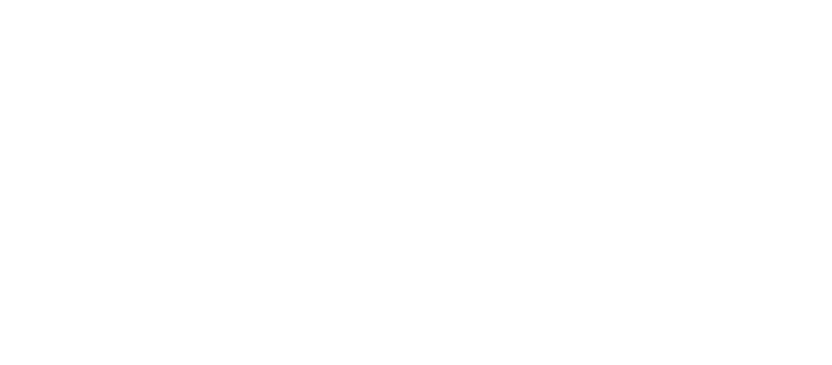 logo Savani