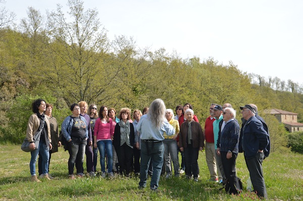Canto nel prato
